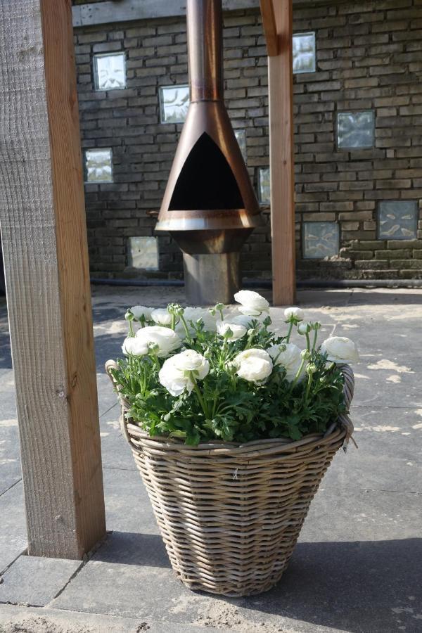Hotel Het Anker Van Texel 더콕스도르프 외부 사진